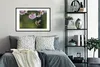 MuchoWow® Gerahmtes Poster Vogel - Blüte - Kolibri 90x60 cm Produktbild-Vorschau 2