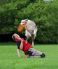 Trixie Dog Activity Dog Disc, bissfest ø 19 cm Produktbild-Vorschau 3