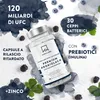 Aavalabs Probiotici Premium | 30 ceppi e 120 miliardi di Anteprima dell’immagine prodotto 2