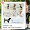 PawHut hondenwagen, 2-in-1 hondenbuggy, inklapbare Productafbeelding-voorbeeld 7