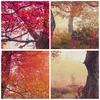 Bild auf Leinwand - Leinwandbild - Baum Natur Wiese - Produktbild-Vorschau 8