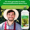 Purgrün Nawóz do figowców 1 litr Podgląd zdjęcia produktu 2