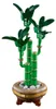 LEGO Botanicals Geluksbamboe, kunstplant, bouwset voor Productafbeelding-voorbeeld 7