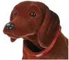 Simba Wackelkopf Waldi Hundefigur – Wackel Spielzeug, Produktbild-Vorschau 7