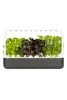 A smart garden with nine different plants growing inside. Anteprima dell’immagine prodotto