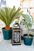 Künstliche ananas-pflanze h72cm  - Atmosphera créateur Voir les images du produit 4