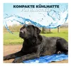 CoolPets Premium Cooling Mat M (50x40cm) Produktbild-Vorschau 5
