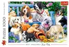 TREFL Puzzle 1000 Psy w ogrodzie 10556 Podgląd zdjęcia produktu 5