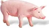 Ravensburger tiptoi: Pig, 4 Jahr(e), tiptoi: farm, Pink Produktbild-Vorschau 2