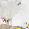 Künstliche Pampasgras,Kunstpflanze, 8Pcs 80cm, Flauschig Produktbild-Vorschau 5