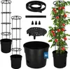 KOTARBAU® 2er Set Tomatenpflanze Pflanzkübel ⌀ 30 cm mit Produktbild-Vorschau 1