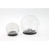Two glass solar lights with a cracked glass effect are shown against a white background. Anteprima dell’immagine prodotto