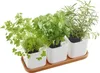 orthex vaso per erbe aromatiche EDEN set di 3 bianco Anteprima dell’immagine prodotto 3