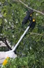 TEXAS GS 720 Li | Astschere | Teleskopierbar bis 185 cm | Produktbild-Vorschau 4