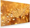 Glasbild 120x80cm in XXL für Wohnzimmer, Schlafzimmer Motiv Produktbild-Vorschau 1