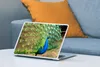 MuchoWow® Laptop Aufkleber Sticker Cover Pfau - Federn - Produktbild-Vorschau 4