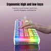 A hand is shown typing on a colorful, illuminated keyboard. Produktbild-Vorschau