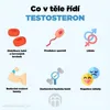 BrainMax Testoboss, 100 gélules végétaliennes Voir les images du produit 7