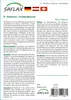 SAFLAX - červený javor - Acer rubrum - 20 Semená Náhľad obrázku produktu 7