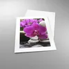Poster - Poster ohne Rahmen - Orchidee Bambus Dekoration Produktbild-Vorschau 3