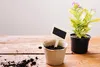 Two plant pots on a wooden surface, one empty with a small sign, the other with a plant. Produktbild-Vorschau
