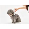 Tondeuse pour animaux Petkit 2W1 Voir les images du produit 8