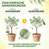 Power Raubmilben gegen Spinnmilben – 1 Tüte - Biologisches Produktbild-Vorschau 6