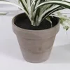 Mica Decorations Chlorophytum Kunstpflanze im Blumentopf Produktbild-Vorschau 4