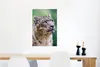 MuchoWow® Poster Schneeleopard - Kopf - Grau 60x90 cm - Produktbild-Vorschau 5