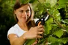 Sekator Nożyce ręczne Fiskars 21 cm Podgląd zdjęcia produktu 12