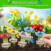 4 Stück Insektentränke, Bienentränke für Den Garten, Produktbild-Vorschau 2