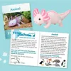 Teddy-Hermann Teddy Hermann Axolotl 36 cm 901594 Anteprima dell’immagine prodotto 5