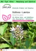 SAFLAX Garden to go - Süßholz / Lakritze - Glycyrrhiza Produktbild-Vorschau 1