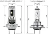 Comparison of a LED headlight bulb and a traditional halogen headlight bulb with dimensions shown. Produktbild-Vorschau