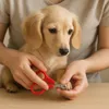 FERPLAST coupe-ongles pour chiens GR 5984 Voir les images du produit 5