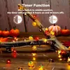 3 Stück Herbst Deko Lichterkette mit Timer, 2m 20 LED, Produktbild-Vorschau 3