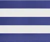 vidaXL Auvent rétractable Bleu et blanc 3x2,5 m Tissu et Voir les images du produit 10