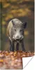 MuchoWow® Poster Wildtier - Wald - Herbst 20x40 cm - Plakat Produktbild-Vorschau 1