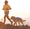 Ruffwear Trail Runner Belt Blue Pool L-XL Produktbild-Vorschau 16