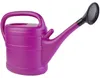 Arrosoir 10 lilas avec pomme de douche à emboîter plastique Voir les images du produit 13