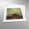 Poster - Poster ohne Rahmen - Elefant Dschungel Nebel - Produktbild-Vorschau 3