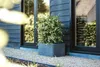 A rectangular planter with a plant in it, placed on gravel next to a modern house with dark siding and large windows. Náhľad obrázku produktu