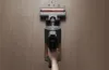 A hand holding a cordless vacuum cleaner on a wooden floor, with dirt being vacuumed up. Produktbild-Vorschau