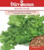 Dürr-Samen - Blattkoriander - Saatgut - 1932 Produktbild-Vorschau 2