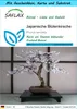 SAFLAX - Geschenk Set - Bonsai - Japanische Blütenkirsche - Produktbild-Vorschau 1