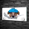 Tulup® Glas-Bild - 100x50 -Wandkunst - Wandbild hinter Produktbild-Vorschau 2