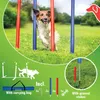 4x slalomová raketa pro agilitu Náhled obrázku produktu 6