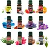 Hydro Parfümöl Set 12x10 ml – wasserlösliche Duftöle für Produktbild-Vorschau 1
