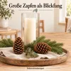 Maritima Zapfen 14-18 cm 20 Stück Pinus pinaster große Produktbild-Vorschau 3