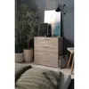 Komoda se 4 zásuvkami - dub lanýžový - 80 x 40 x 68,5 cm Náhled obrázku produktu 10